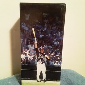 Larry Walker 2020 Hall of Fame Bobbyhead